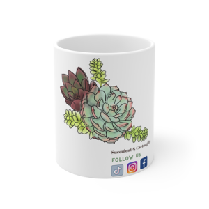 Succulent Gift Mugs | Plant Business Promotions